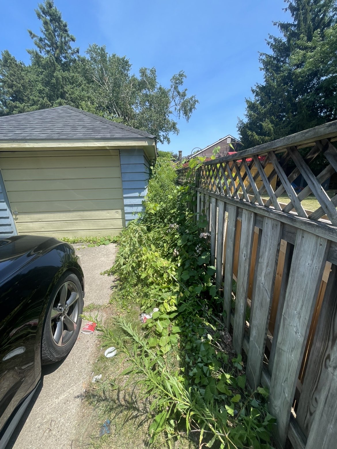 Before: Driveway edge cleanup & new border bed — London, ON