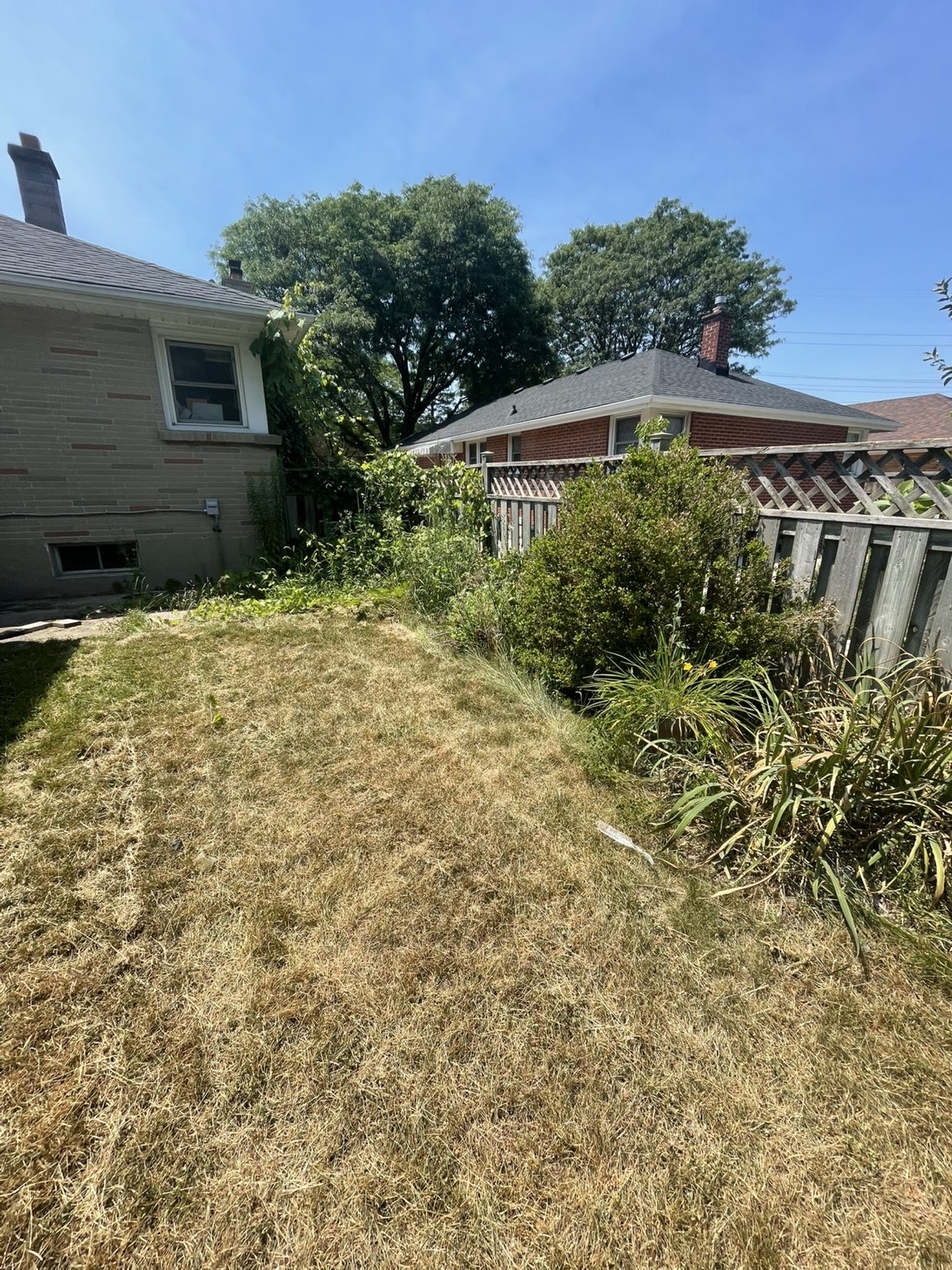 Before: Backyard cleanup & lawn revive — London, ON